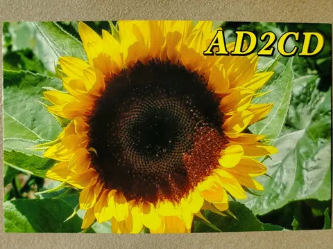 AD2CD profile photo