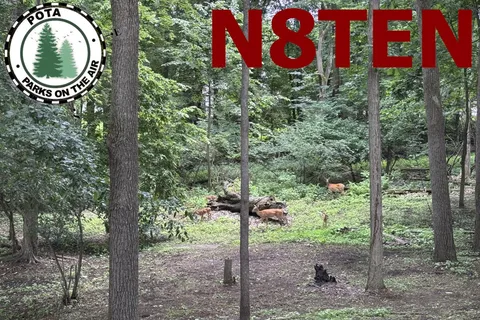 N8TEN profile photo