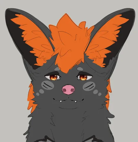 SN5WLF profile photo