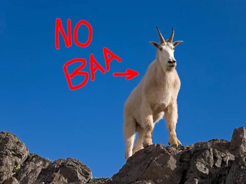 N0BAA profile photo