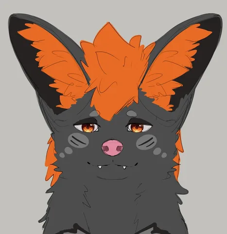 SN5WLF QRZ profile photo