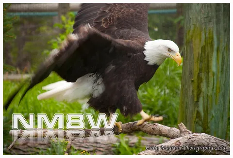 NM8W profile photo